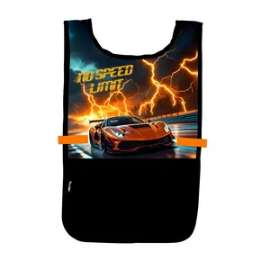 Schürzenponcho Auto 2